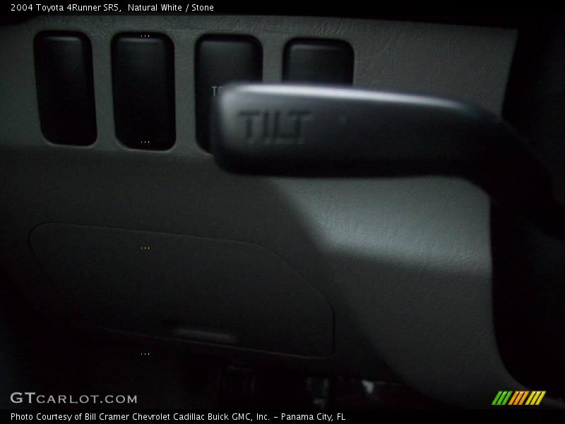 Natural White / Stone 2004 Toyota 4Runner SR5