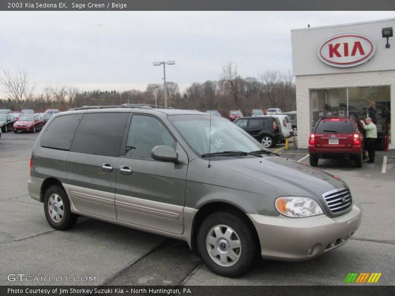 Sage Green / Beige 2003 Kia Sedona EX