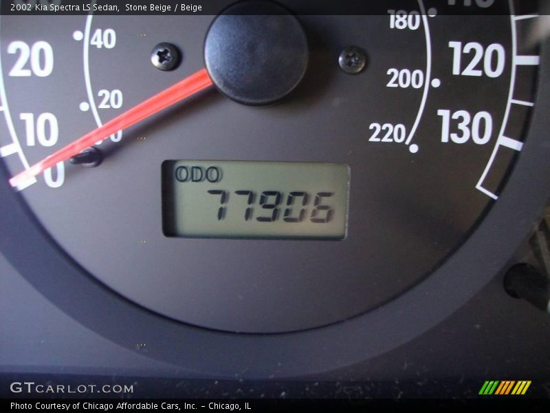Stone Beige / Beige 2002 Kia Spectra LS Sedan