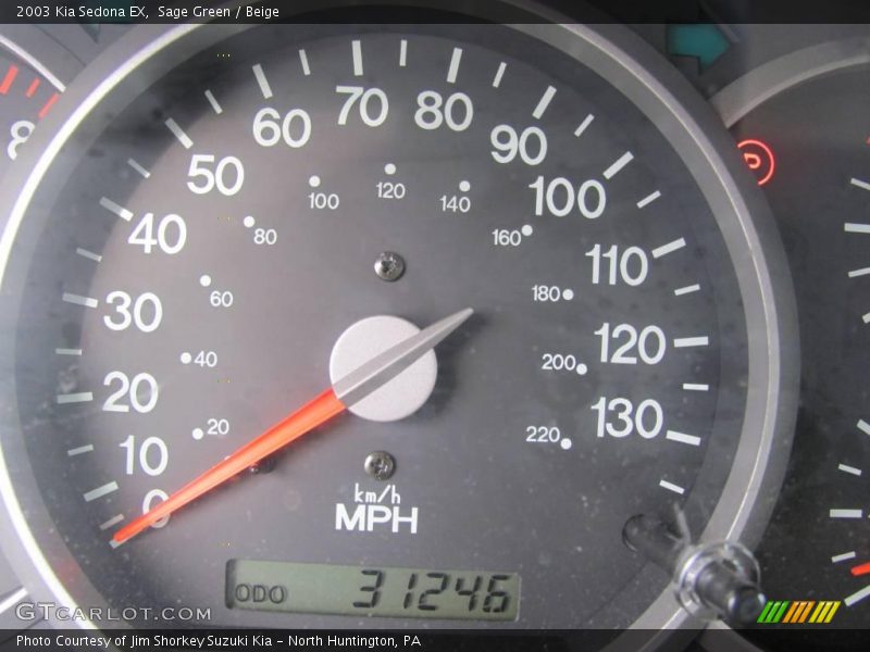 Sage Green / Beige 2003 Kia Sedona EX