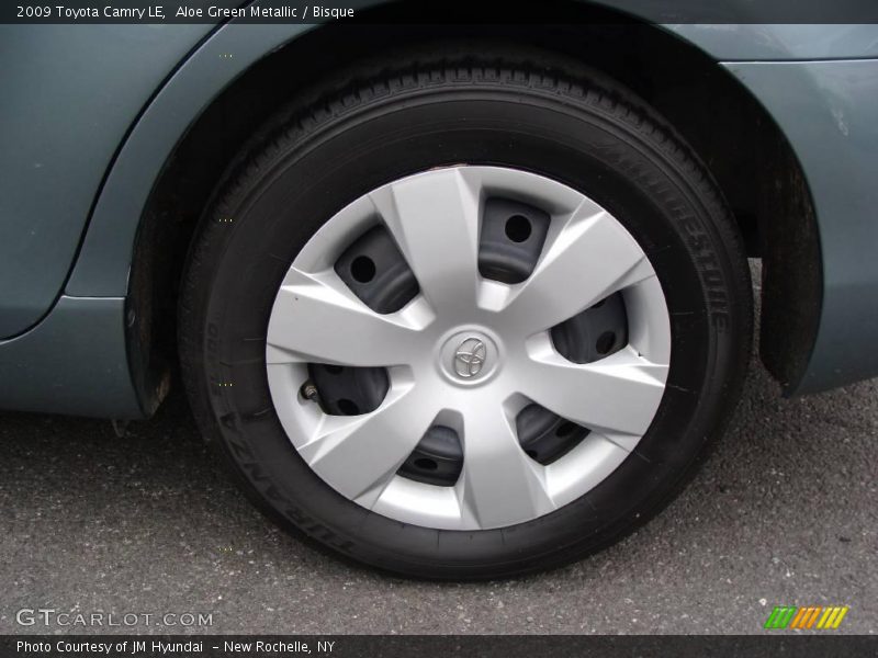 Aloe Green Metallic / Bisque 2009 Toyota Camry LE