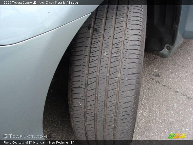 Aloe Green Metallic / Bisque 2009 Toyota Camry LE