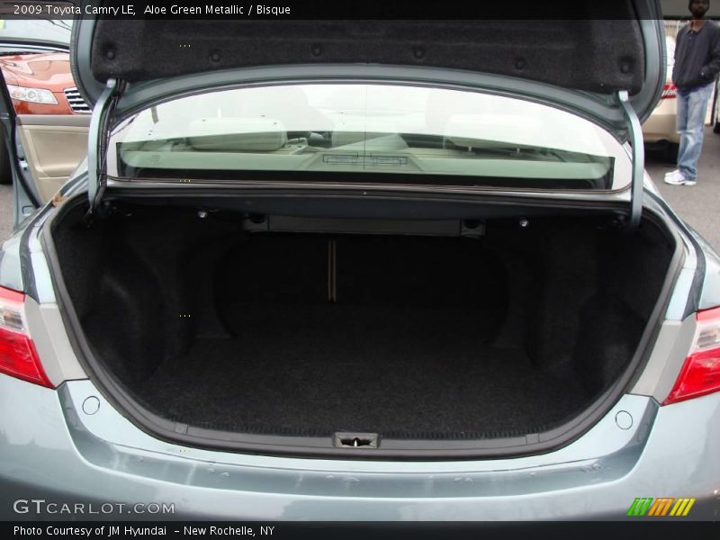 Aloe Green Metallic / Bisque 2009 Toyota Camry LE