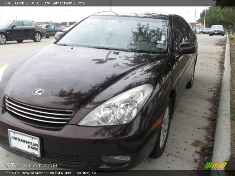 Black Garnet Pearl / Ivory 2003 Lexus ES 300