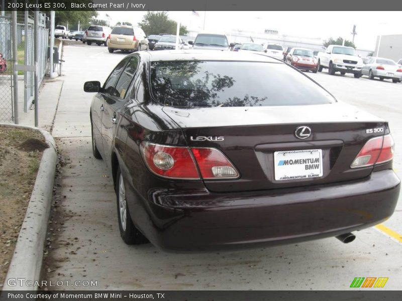 Black Garnet Pearl / Ivory 2003 Lexus ES 300