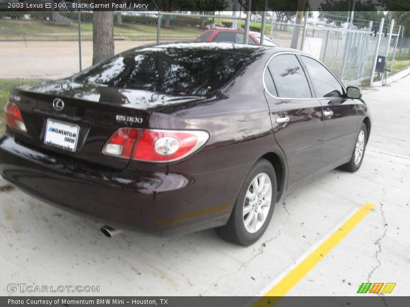 Black Garnet Pearl / Ivory 2003 Lexus ES 300