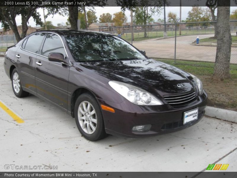 Black Garnet Pearl / Ivory 2003 Lexus ES 300