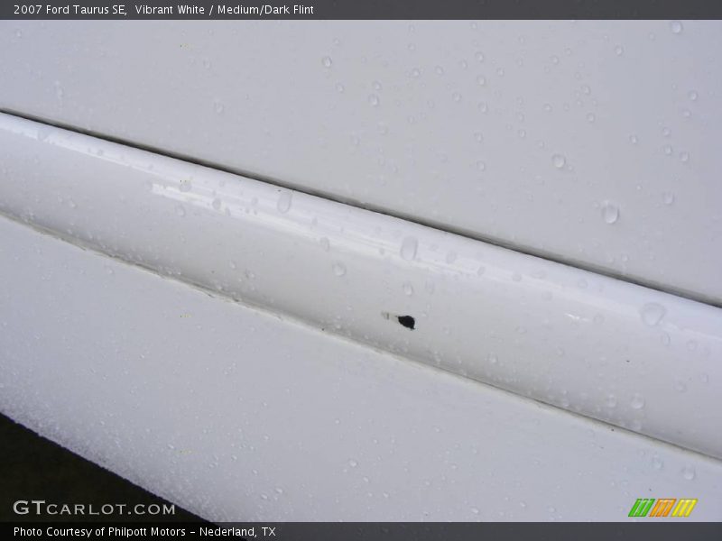 Vibrant White / Medium/Dark Flint 2007 Ford Taurus SE
