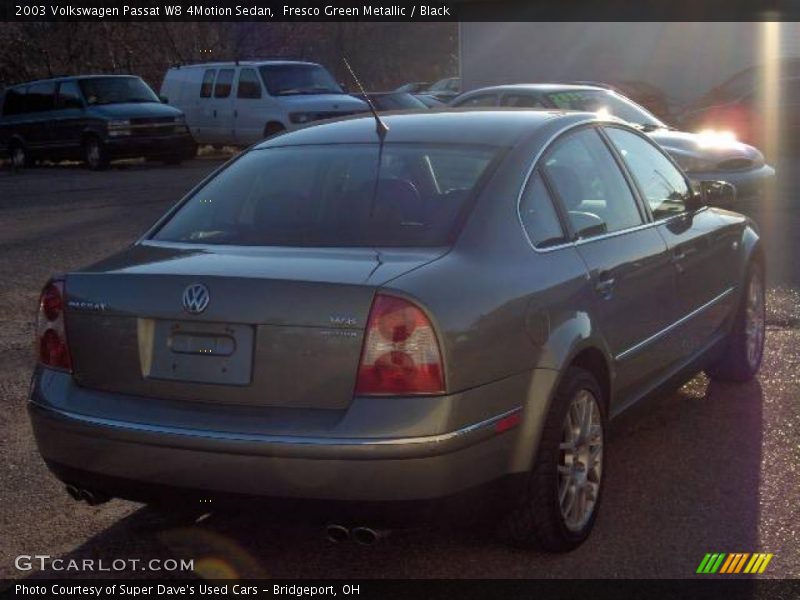Fresco Green Metallic / Black 2003 Volkswagen Passat W8 4Motion Sedan