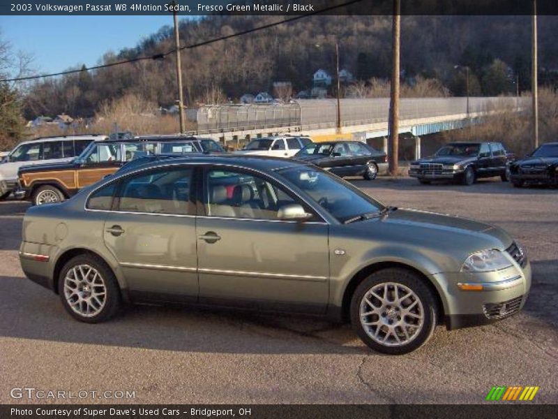 Fresco Green Metallic / Black 2003 Volkswagen Passat W8 4Motion Sedan