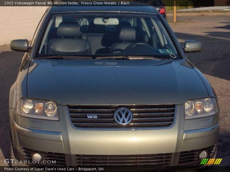 Fresco Green Metallic / Black 2003 Volkswagen Passat W8 4Motion Sedan