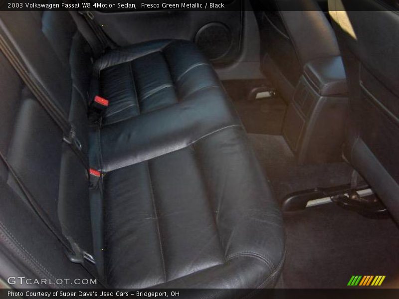 Fresco Green Metallic / Black 2003 Volkswagen Passat W8 4Motion Sedan