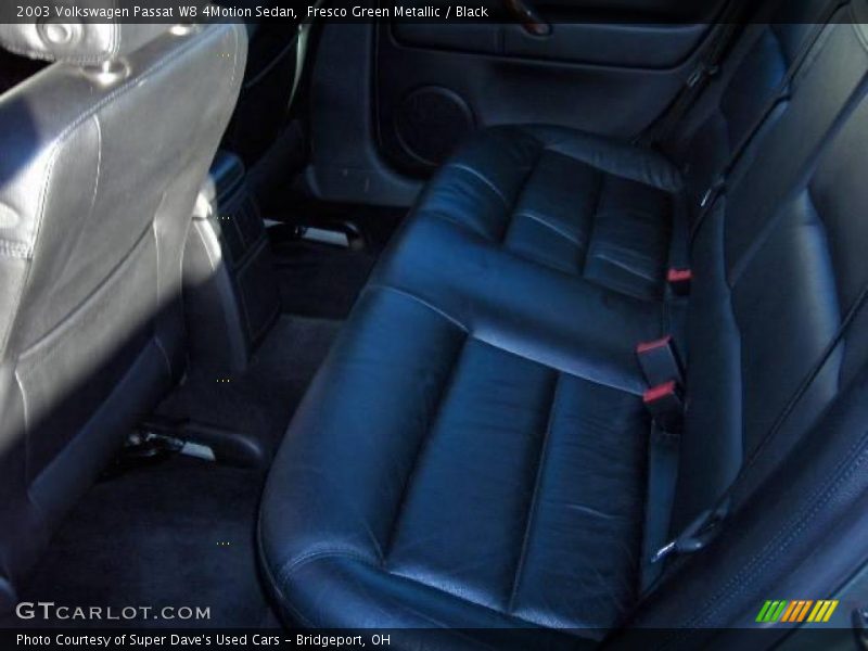 Fresco Green Metallic / Black 2003 Volkswagen Passat W8 4Motion Sedan