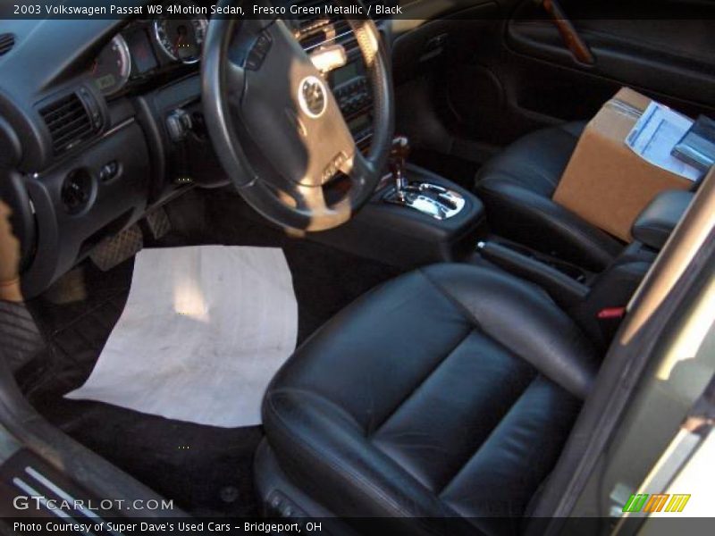 Fresco Green Metallic / Black 2003 Volkswagen Passat W8 4Motion Sedan