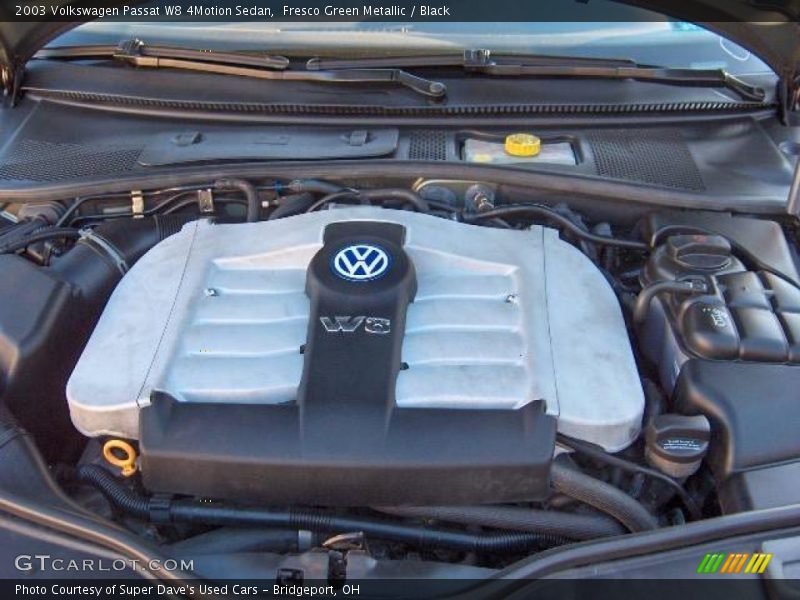 Fresco Green Metallic / Black 2003 Volkswagen Passat W8 4Motion Sedan