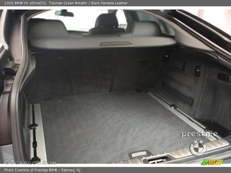 Tasman Green Metallic / Black Nevada Leather 2009 BMW X6 xDrive50i