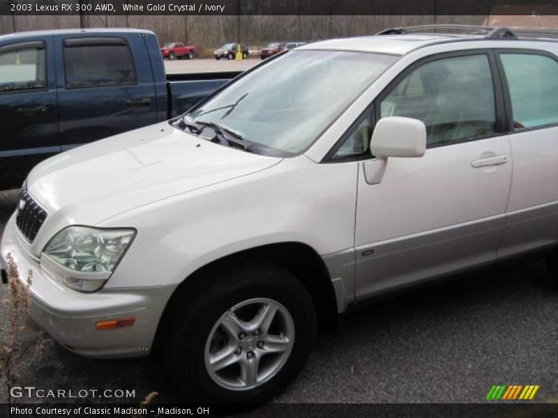 White Gold Crystal / Ivory 2003 Lexus RX 300 AWD