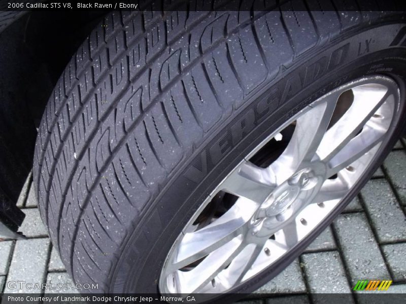 Black Raven / Ebony 2006 Cadillac STS V8