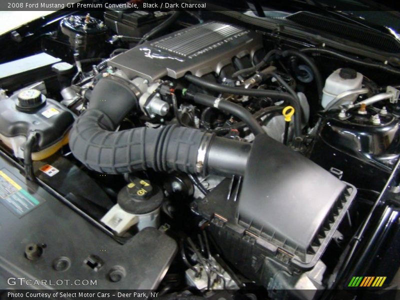 Black / Dark Charcoal 2008 Ford Mustang GT Premium Convertible