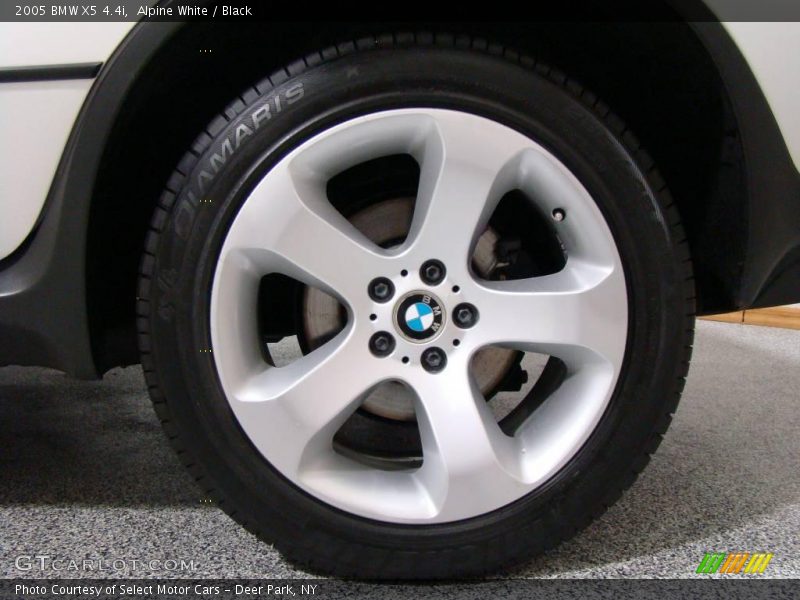 Alpine White / Black 2005 BMW X5 4.4i