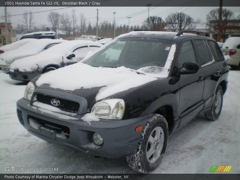 Obsidian Black / Gray 2001 Hyundai Santa Fe GLS V6