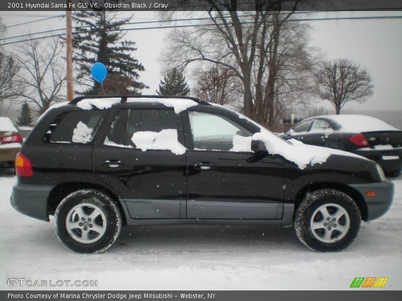 Obsidian Black / Gray 2001 Hyundai Santa Fe GLS V6