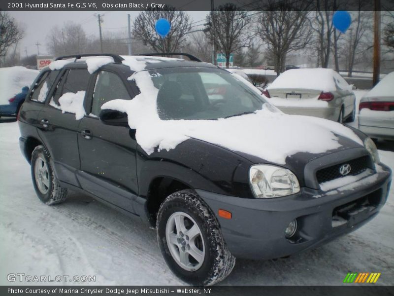Obsidian Black / Gray 2001 Hyundai Santa Fe GLS V6