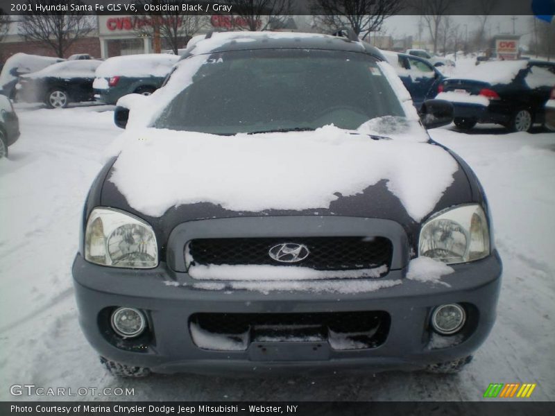 Obsidian Black / Gray 2001 Hyundai Santa Fe GLS V6