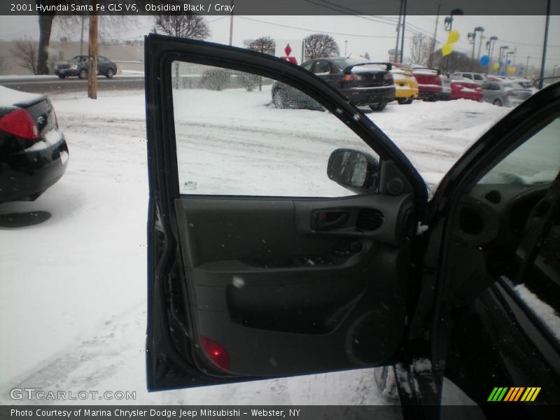Obsidian Black / Gray 2001 Hyundai Santa Fe GLS V6