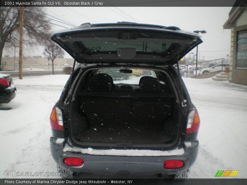 Obsidian Black / Gray 2001 Hyundai Santa Fe GLS V6