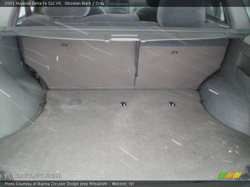 Obsidian Black / Gray 2001 Hyundai Santa Fe GLS V6