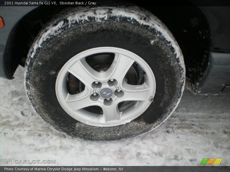 Obsidian Black / Gray 2001 Hyundai Santa Fe GLS V6