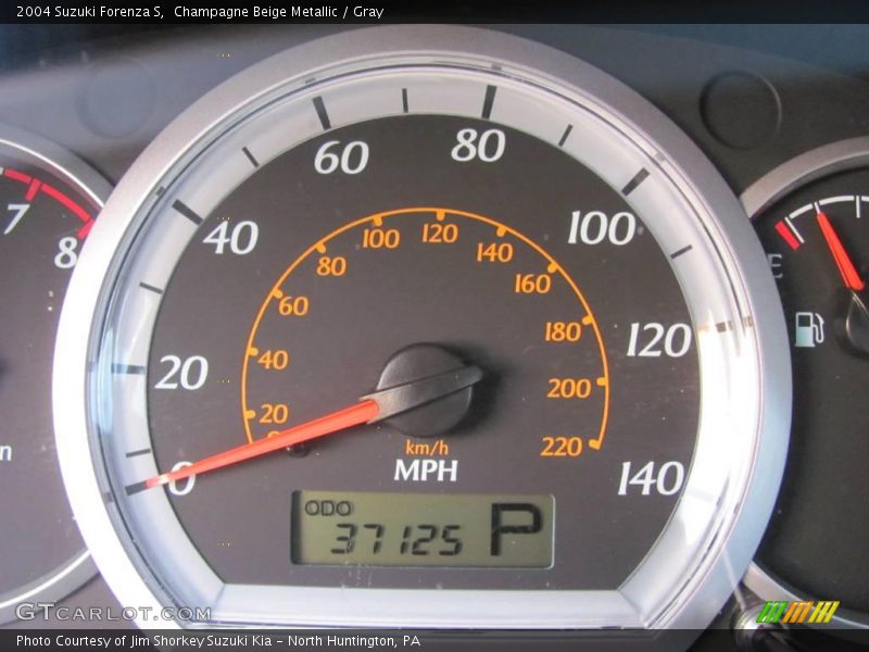 Champagne Beige Metallic / Gray 2004 Suzuki Forenza S