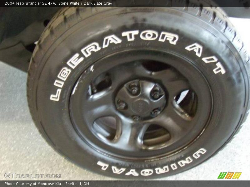 Stone White / Dark Slate Gray 2004 Jeep Wrangler SE 4x4