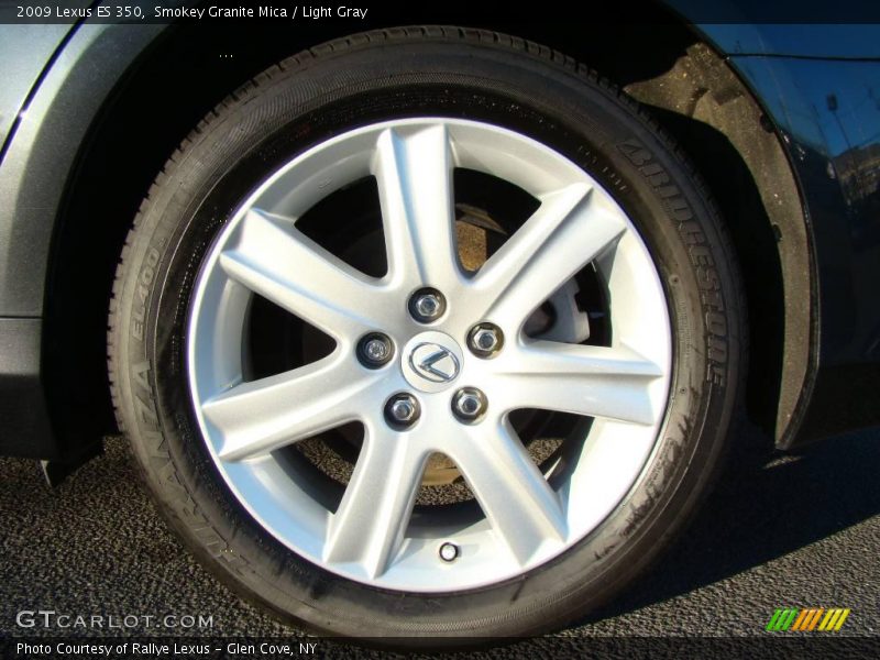 Smokey Granite Mica / Light Gray 2009 Lexus ES 350