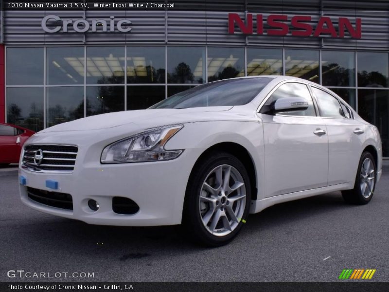 Winter Frost White / Charcoal 2010 Nissan Maxima 3.5 SV