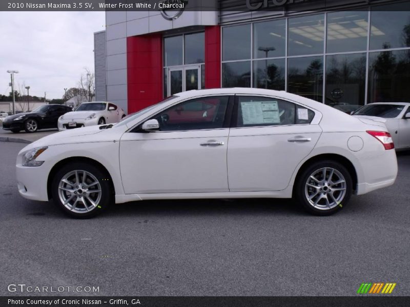 Winter Frost White / Charcoal 2010 Nissan Maxima 3.5 SV