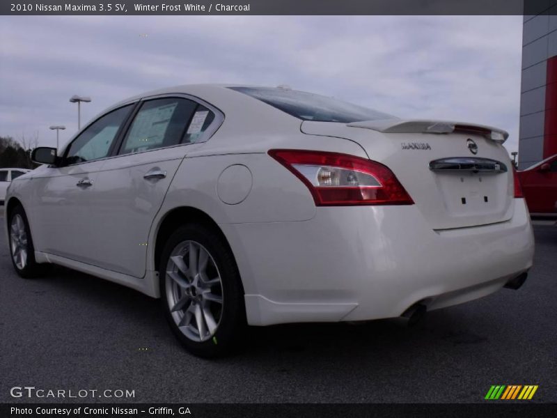 Winter Frost White / Charcoal 2010 Nissan Maxima 3.5 SV