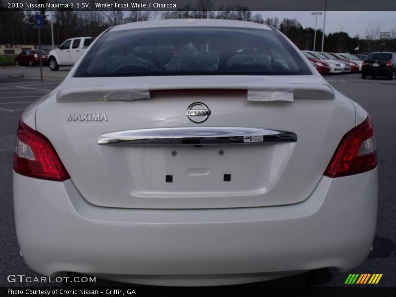 Winter Frost White / Charcoal 2010 Nissan Maxima 3.5 SV