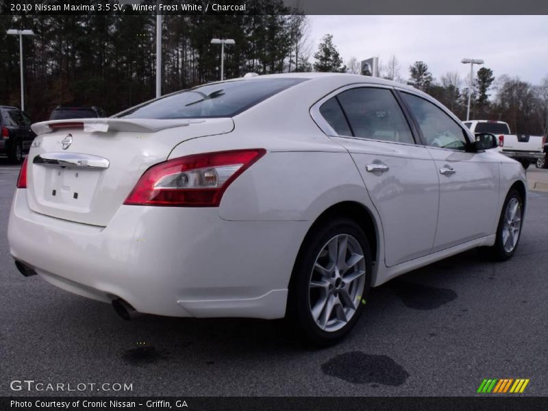Winter Frost White / Charcoal 2010 Nissan Maxima 3.5 SV