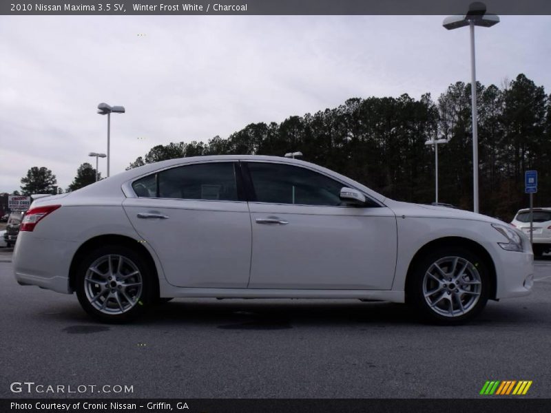 Winter Frost White / Charcoal 2010 Nissan Maxima 3.5 SV