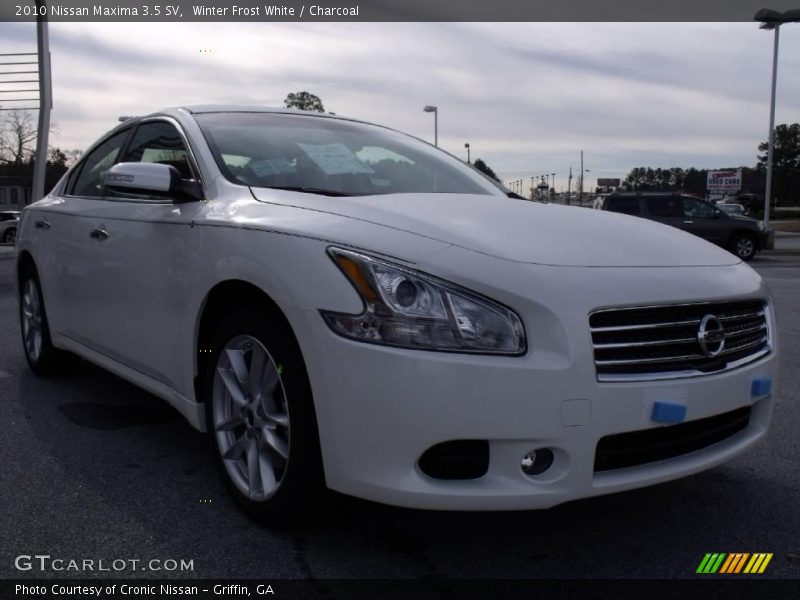Winter Frost White / Charcoal 2010 Nissan Maxima 3.5 SV