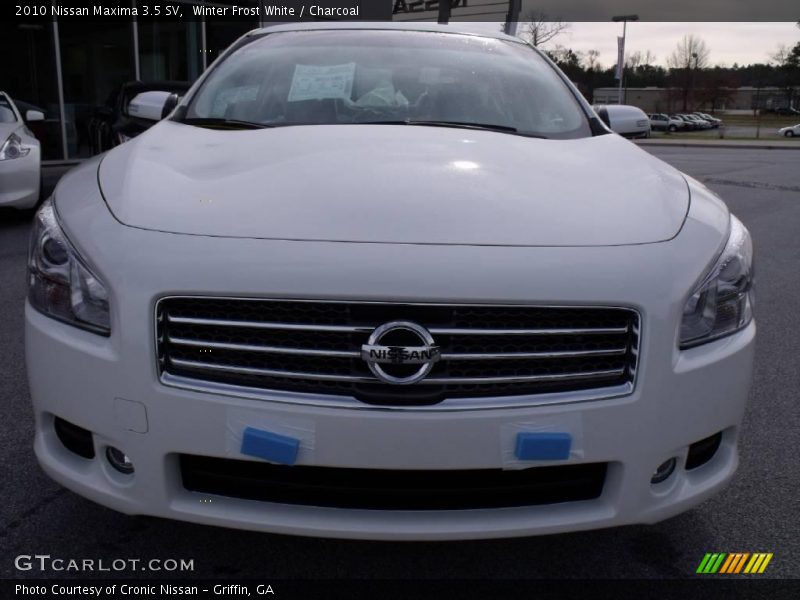 Winter Frost White / Charcoal 2010 Nissan Maxima 3.5 SV