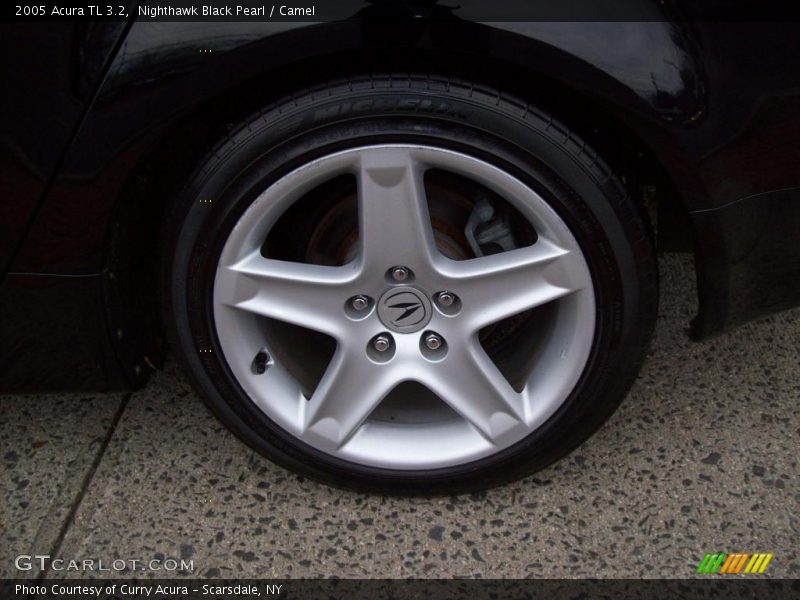 Nighthawk Black Pearl / Camel 2005 Acura TL 3.2