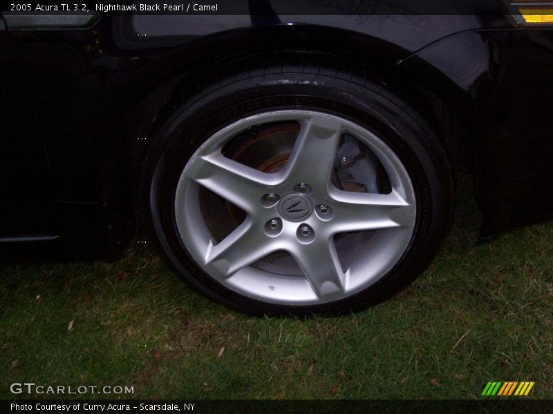 Nighthawk Black Pearl / Camel 2005 Acura TL 3.2