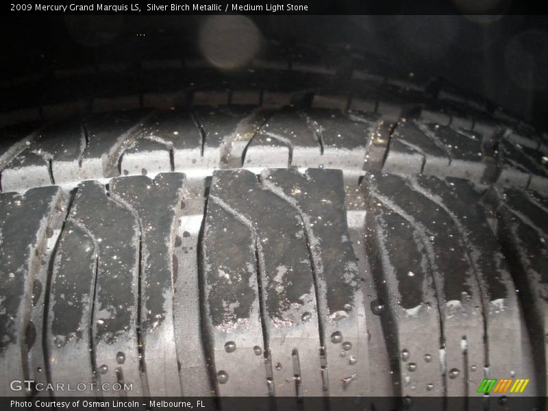 Silver Birch Metallic / Medium Light Stone 2009 Mercury Grand Marquis LS