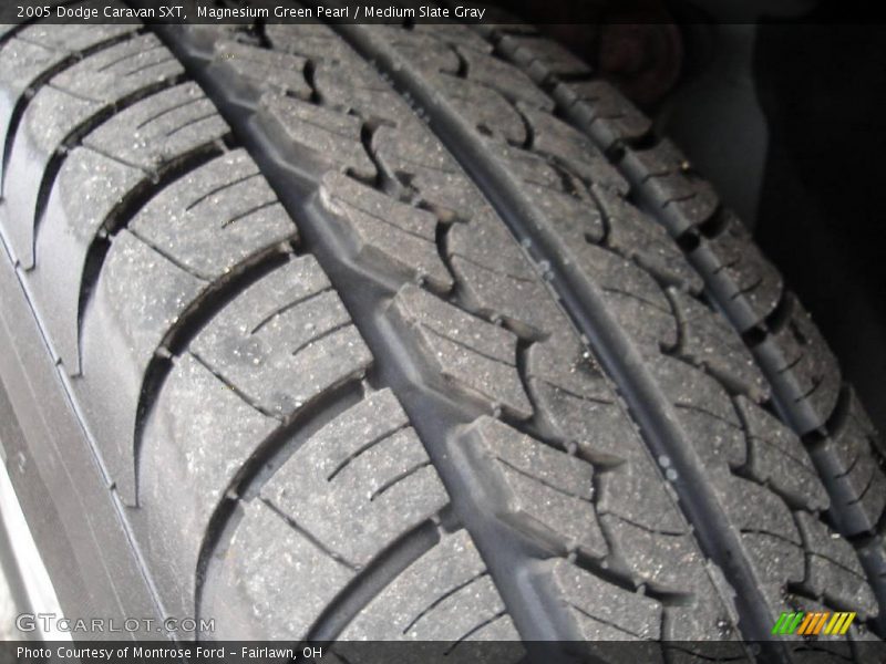 Magnesium Green Pearl / Medium Slate Gray 2005 Dodge Caravan SXT