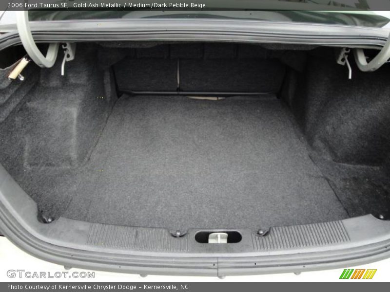 Gold Ash Metallic / Medium/Dark Pebble Beige 2006 Ford Taurus SE