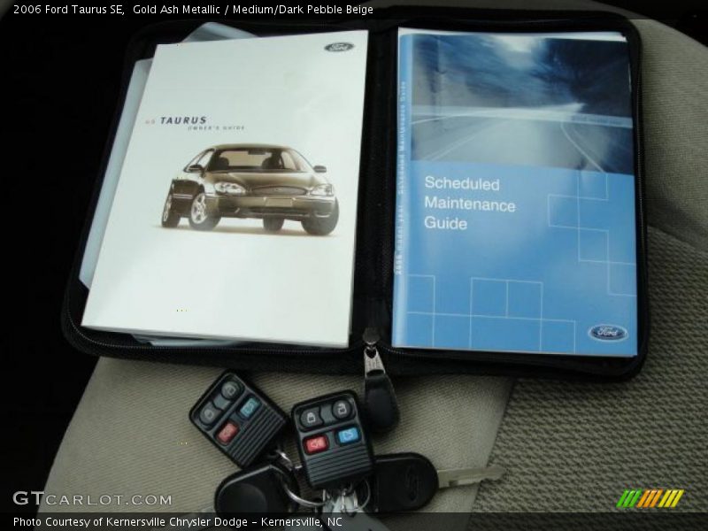 Gold Ash Metallic / Medium/Dark Pebble Beige 2006 Ford Taurus SE