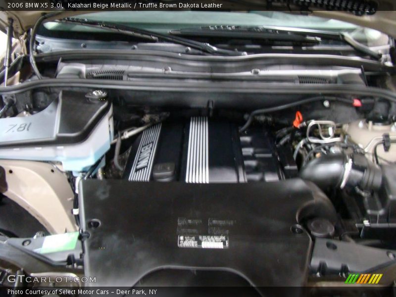 Kalahari Beige Metallic / Truffle Brown Dakota Leather 2006 BMW X5 3.0i